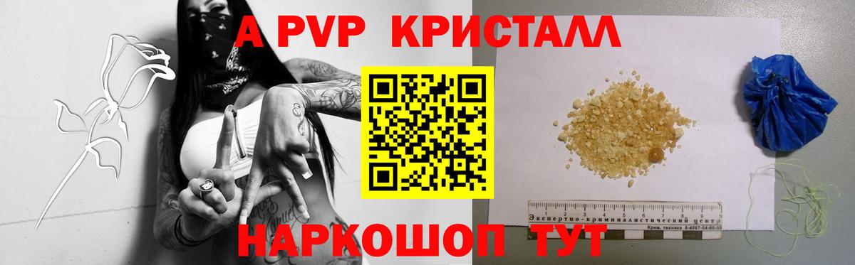 Alfa_PVP СК Усть-Джегута