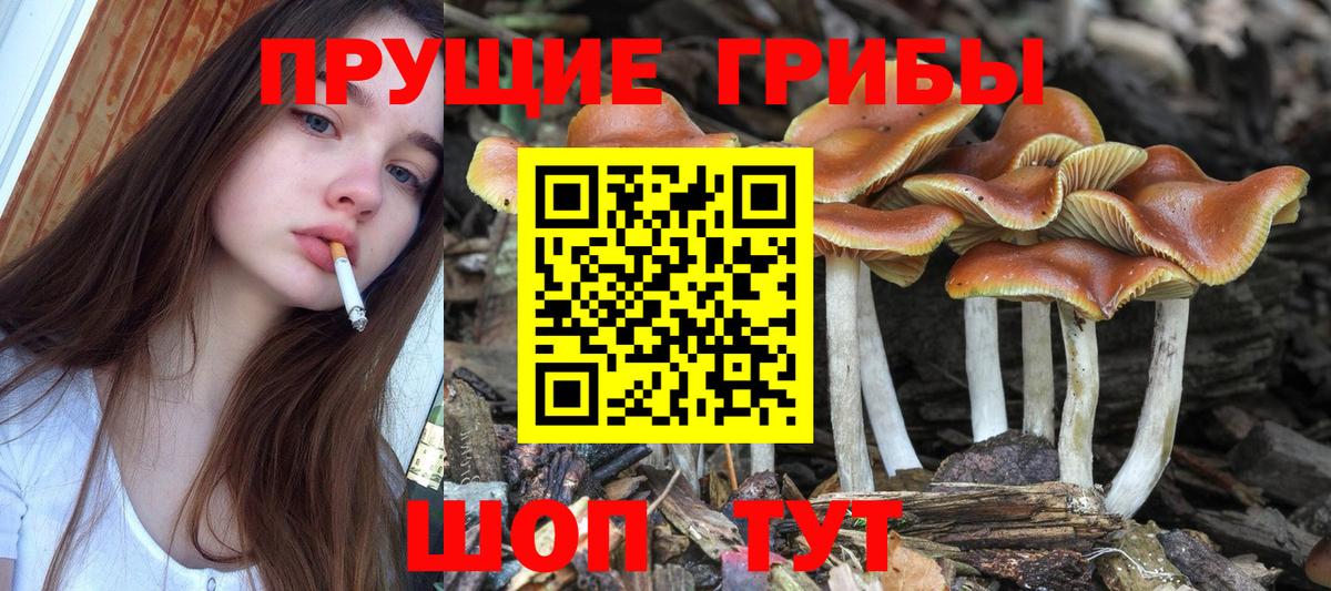 Галлюциногенные грибы MAGIC MUSHROOMS Усть-Джегута