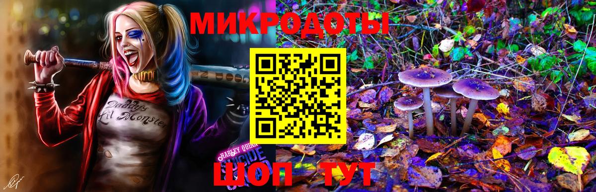 Псилоцибиновые грибы Psilocybe  Вход с VPN  Галлюциногенные грибы Psilocybe  купить наркоту  Усть-Джегута 